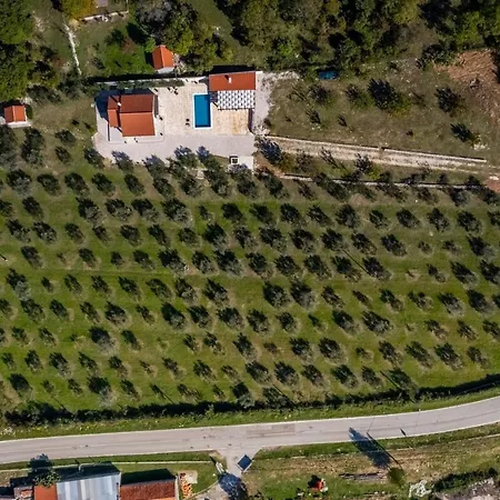Oliveto Smilcic