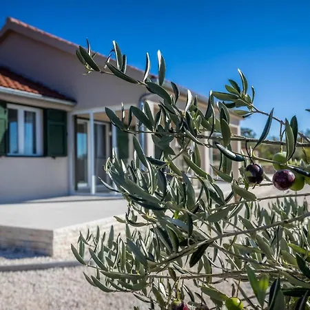 Oliveto Villa