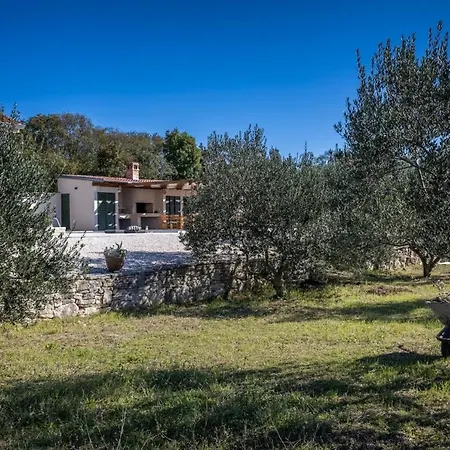 Oliveto Smilcic