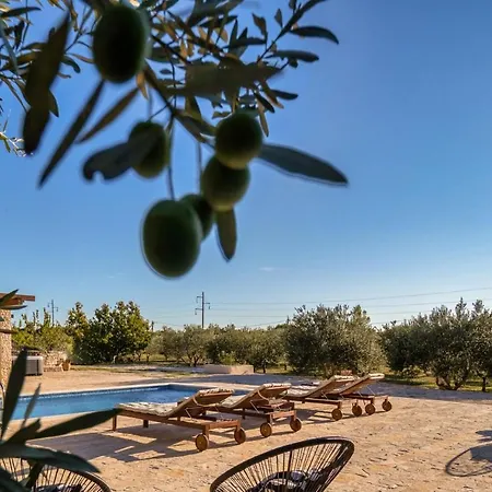 Villa Oliveto Smilcic