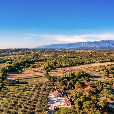 Oliveto